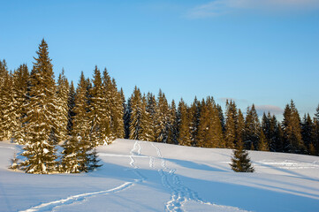 clearing in the winter mountains on a sunny day for outdoor activities and walks