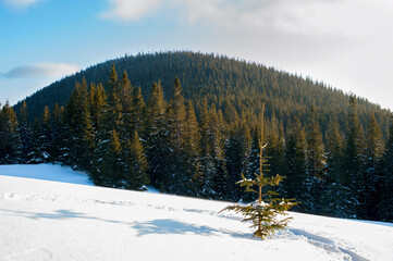 clearing in the winter mountains on a sunny day for outdoor activities and walks