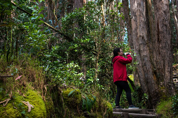 Young woman wearing a red jacket and drinking water in a forest  after walking through the mountain
