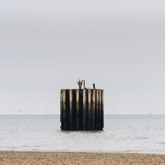 Whitstable