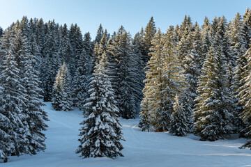 Winterlandschaft
