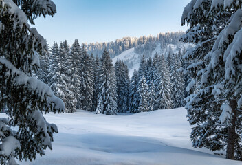 Winterlandschaft