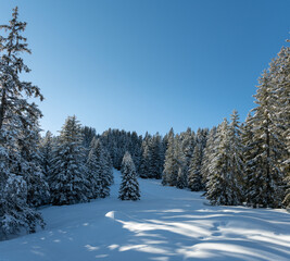 Winterlandschaft