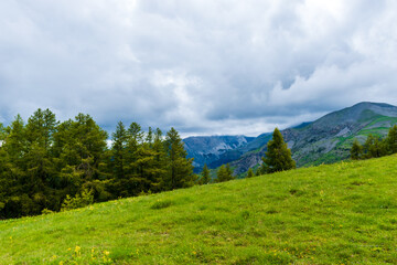 Naklejka premium A picturesque landscape view of the French Alps mountains on a cloudy summer day (Valberg, Alpes-Maritimes, France)
