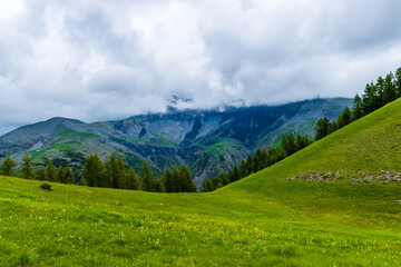 Naklejka premium A picturesque landscape view of the French Alps mountains on a cloudy summer day (Valberg, Alpes-Maritimes, France)