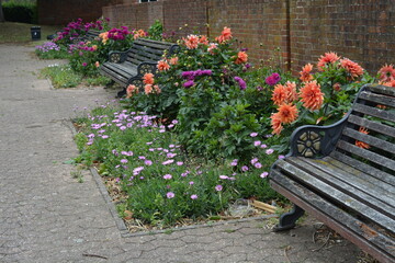 Blooming flowers garden with benches