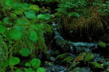 Waterfall, green landscape. Galicia, Spain