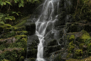 Waterfall, green landscape. Galicia, Spain
