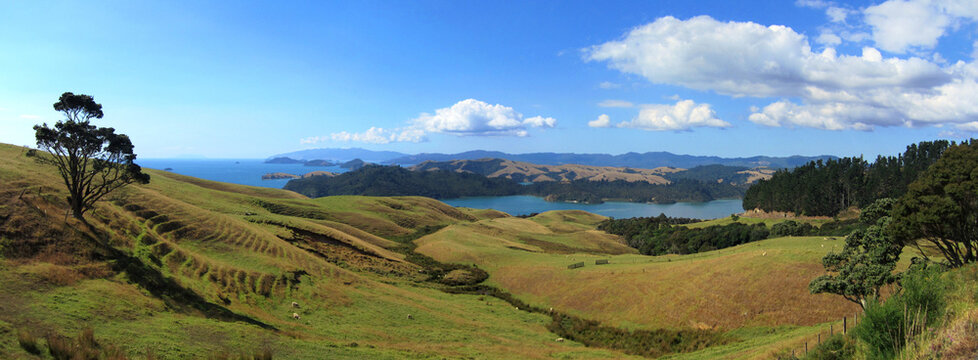 Coromandel, New Zealand
