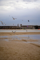 Kitesurfing, surfers in Tarifa, Spain
