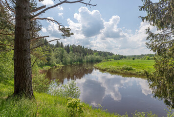 Obraz premium Нерль