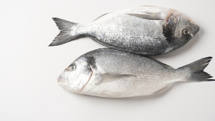 Raw fresh uncooked dorado or sea bream fish with lemon, herbs,  cherry tomatoes and spices on  black background