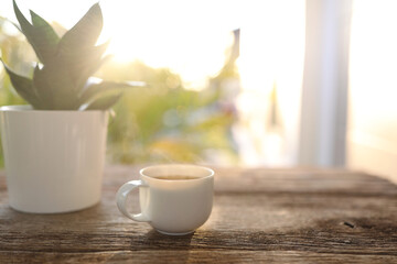 White coffee cup and Hahnii mini snake plant pot