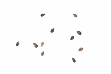 a few black sesame seeds scattered on a white background, organic small seeds of dark color