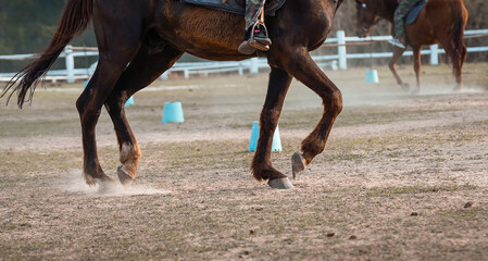 Close up legs of sport horse on show jumping in arena in the sunlight.. Horse Jumping Event, Show...