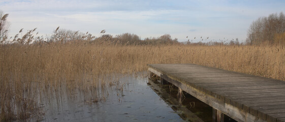 Pier on the lake - obrazy, fototapety, plakaty