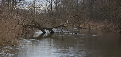 By the river © Klimczak-Krajewska
