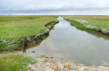 Hallig Nordstrandischmoor