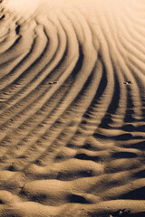 ripples in the sand