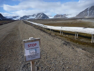 przydrożny znak ostrzegający o obecności niedźwiedzi polarnych przy jednej z szutrowych dróg na grenlandii - 489393456