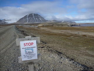 przydrożny znak ostrzegający o obecności niedźwiedzi polarnych przy jednej z szutrowych dróg na grenlandii - obrazy, fototapety, plakaty