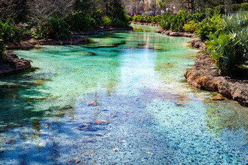 waterfall in the park
