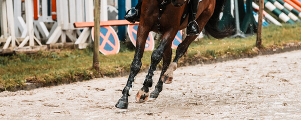 Horse jumping horse galloping, closeup of legs with dirt spraying up on the show jumping arena..