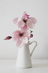 Beautiful fresh pastel pink magnolia flower in full bloom in vase against white background. Spring still life.
