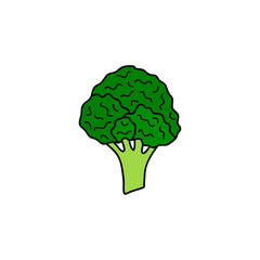 Doodle colored broccoli icon.