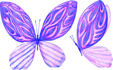 Two watercolor butterflies isolated on white background. Bright handmade collection.