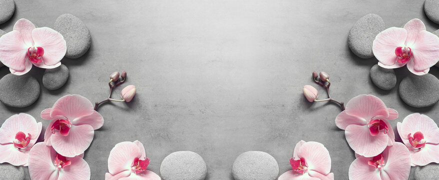 Flat lay composition with spa stones, orchid pink flower on grey background.
