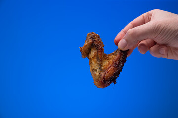 Grilled and seasoned chicken wing held between fingers by Caucasian male hand. Close up studio shot, isolated on blue background