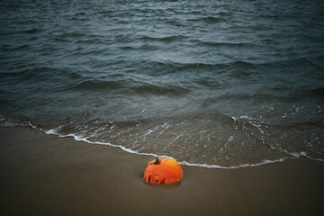 Naklejka premium Pumpkin on the sea