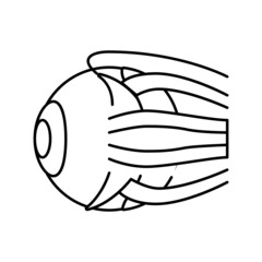 eye human organ line icon vector illustration