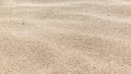 砂丘に現れる風紋