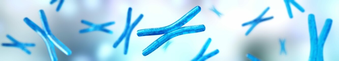 Set of chromosomes, X chromosome close up on a blurred background, human genome, 3d rendering