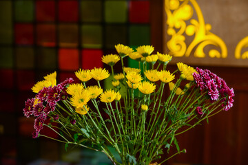 Beautiful elegant chrysanthemums