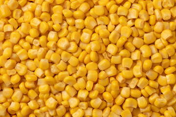 Fresh cooked yellow corn seeds close up full frame as background