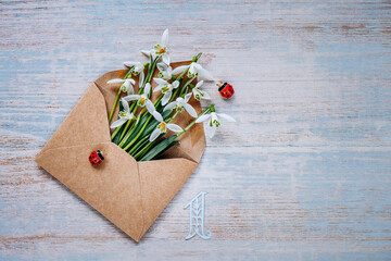 Bouquet of delicate snowdrops in an envelope on a wooden background with number one. First of march...