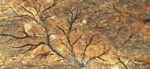 Forest in autumn, abstract photography of the deserts of Africa from the air. aerial view of desert landscapes, Genre: Abstract Naturalism, from the abstract to the figurative