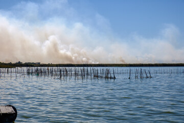 Burning of rice stubble burning straw in rice farmers in Albufera Valencia Spain, pollution environmental problem, dark sky clouds