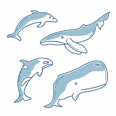 Fototapeta premium Set of vector illustrations with four marine inhabitants, a whale, a dolphin, a killer whale and a sperm whale in blue with partial filling.