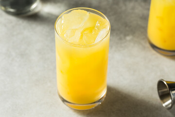 Boozy Cold Refreshing Gin and Juice