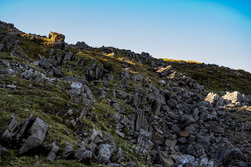 Steinbock trifft Murmeltier