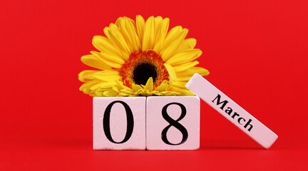 White wooden calendar with the date "March 8" on a red background with a yellow gerbera flower. Women's day, congratulations to women
