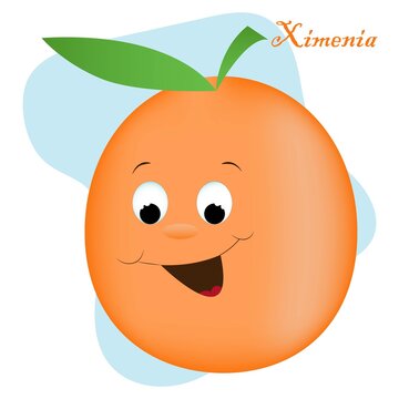 Cartoon fruits and vegetables with different emotions. Ximenia
