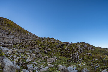 Ibexes in stone garden