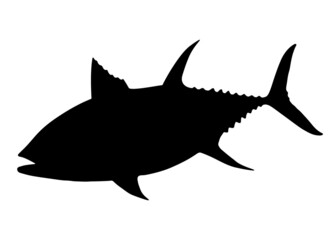 Big tuna fish. Vector image.