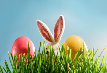 easter bunny and painted eggs in the grass on a blue background with copy space.