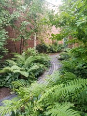 path in the garden